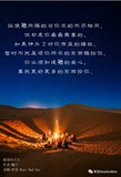 音频封面